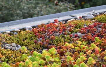 the cost of Cooneen green roof installation