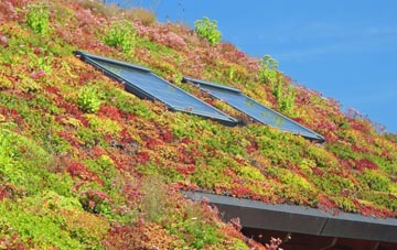 Cooneen living roof systems