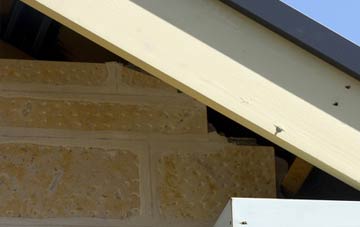 soffit repair Cooneen