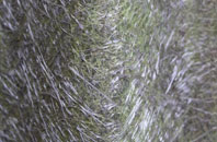 Cooneen fibreglass roof work