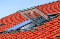 Cooneen roof window